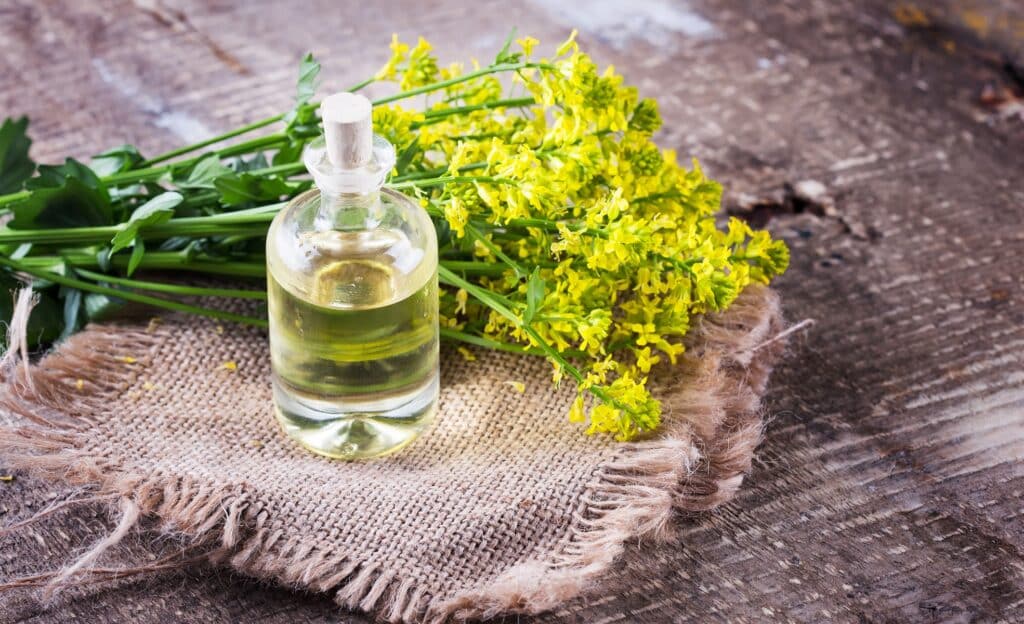 huile de colza artisanale