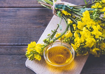 Huile vierge de colza artisanale