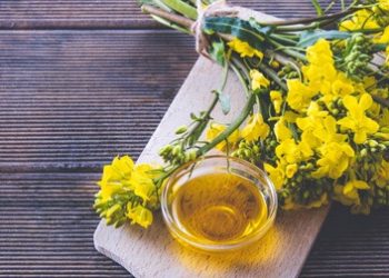 Huile vierge de colza artisanale